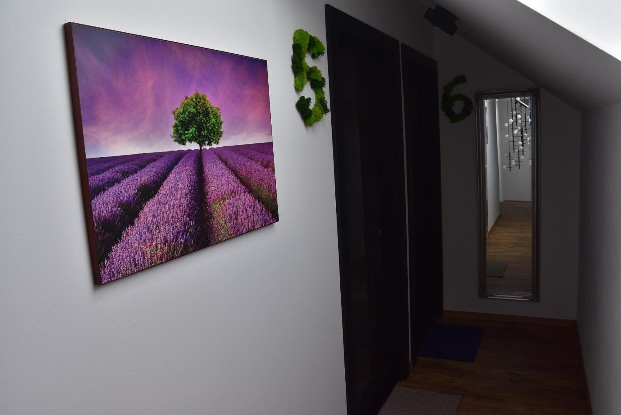 Apartmany Zakovce & Spa Vel'ka Lomnica Exteriör bild